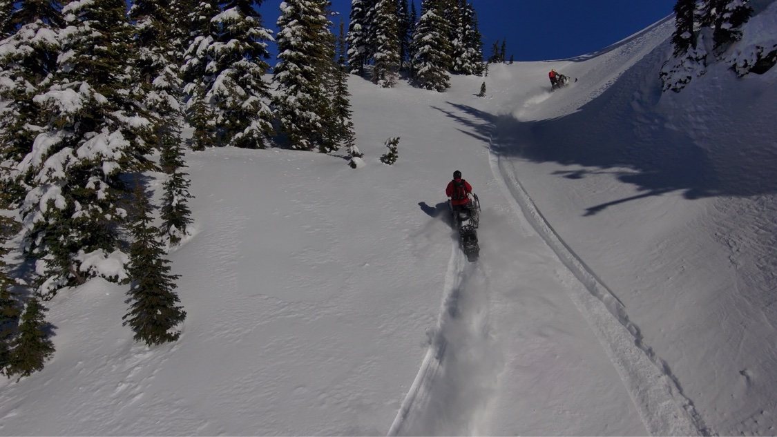 Snowmobile rider climbing a steep snowy slope between snow-covered evergreen trees