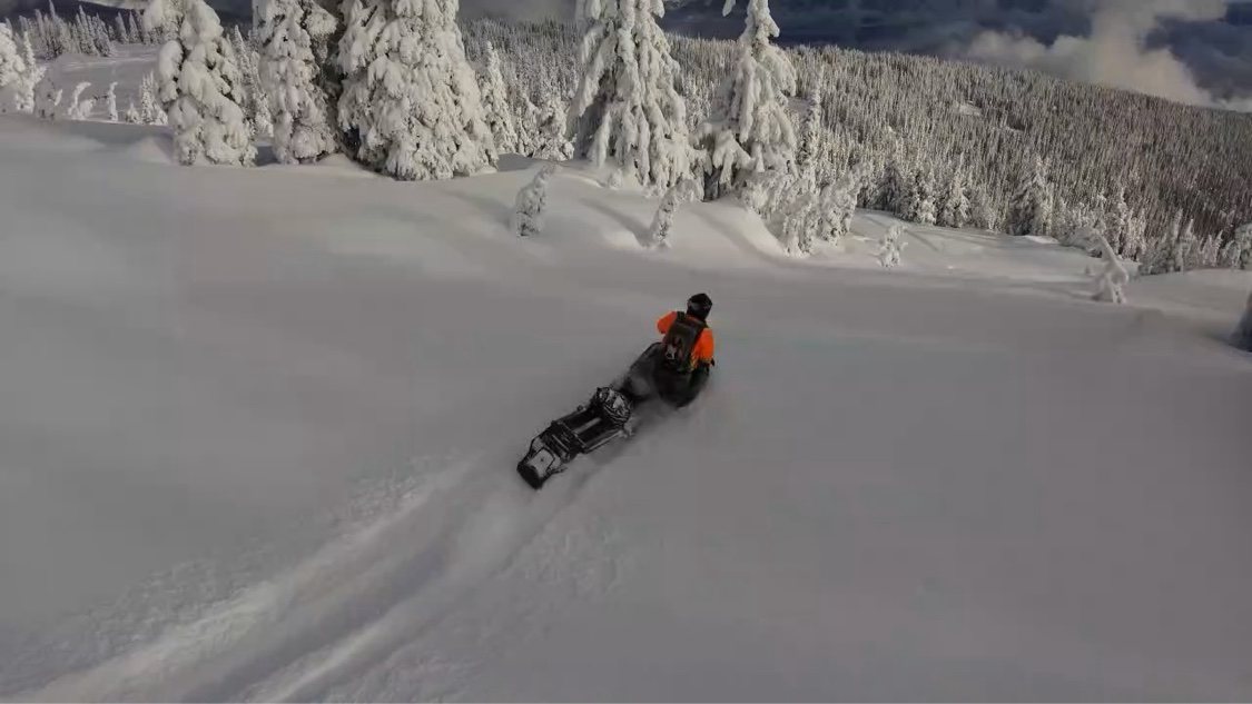 Snowmobile rider carving deep powder among snow ghosts, trees thick with snow