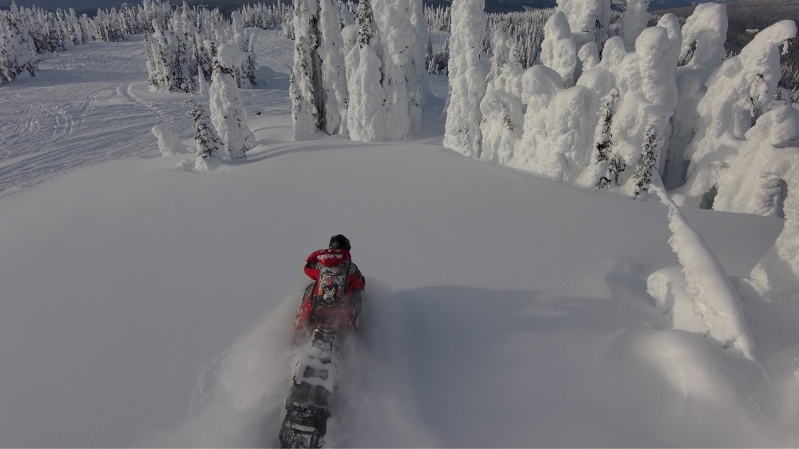 Snowmobile rider approaching towering snow-covered trees known as snow ghosts