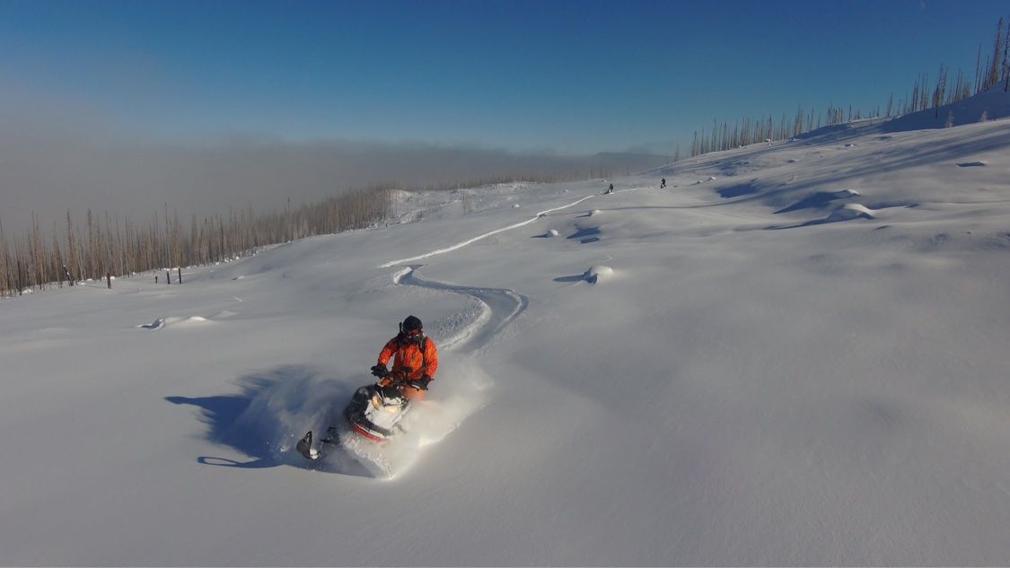 Snowmobile rider carving a wide powder bowl bordered by burnt forest snags under a clear blue sky