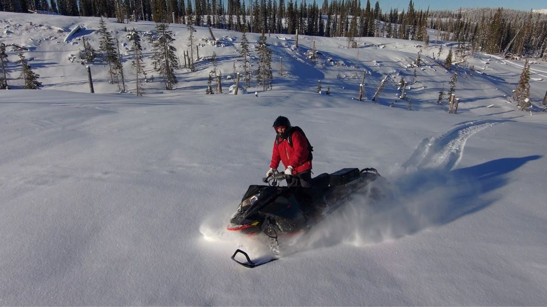 Snowmobile rider standing on the running boards, carving through deep powder in an open meadow below forested slopes