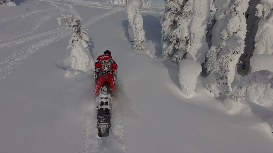 Snowmobile rider riding away into a stand of snow ghosts, trees bent under heavy snow